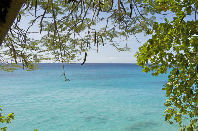 Battsrock Beach Barbados