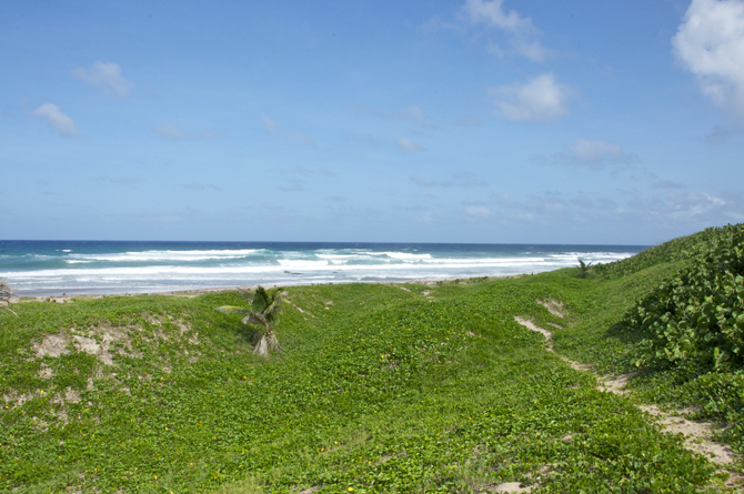 Beach across the road from Santosha Barbados
