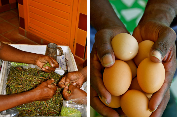 Cheapside Market Barbados