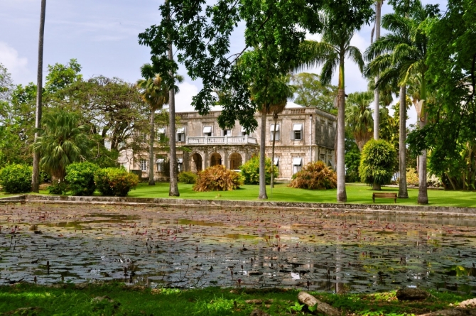 Lily Pond at Codrington College, Barbados.
