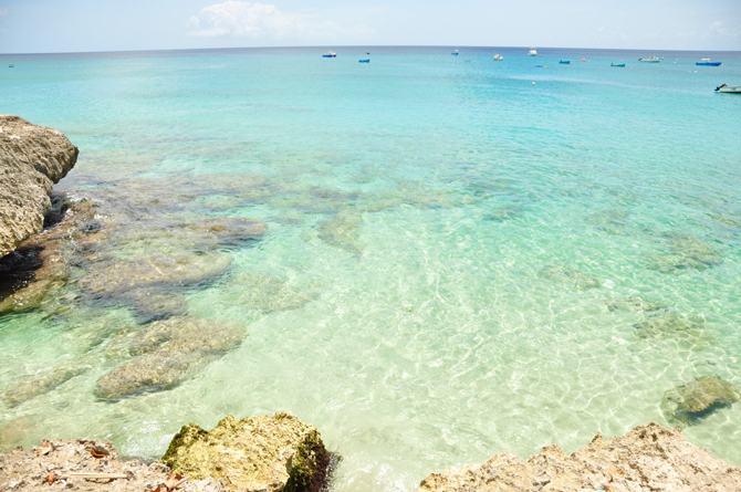 What's Happening: Destination 439 Moon Town