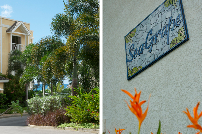 The perfectly manicured grounds of Beach View Barbados