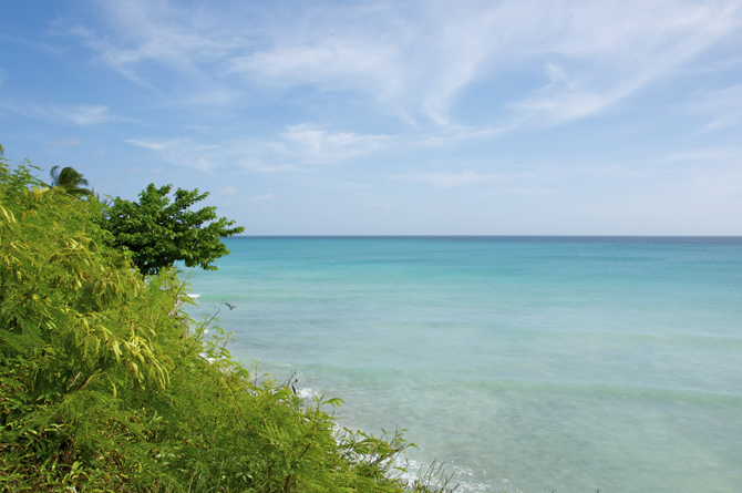 Freights Surf Break Barbados