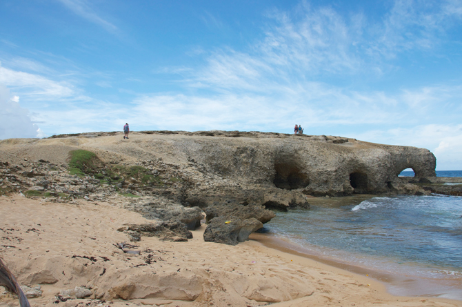 Cove Bay with Island Safari