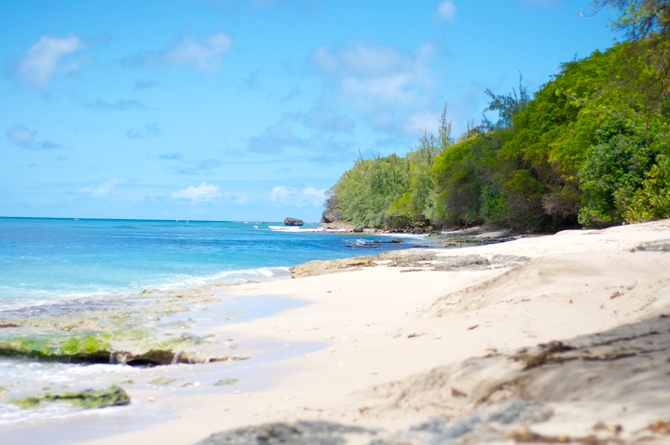 Maycocks Bay Barbados 