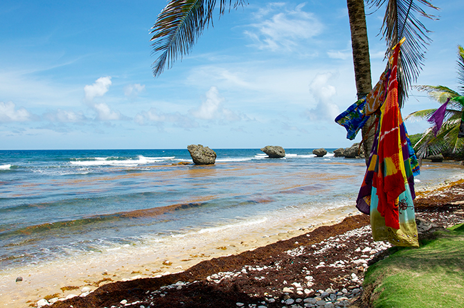 Parlour Beach Barbados with Island Safari