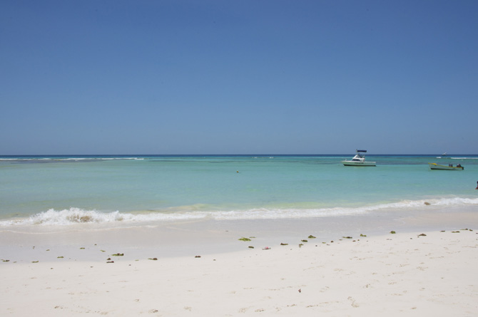 Sandy Beach Barbados
