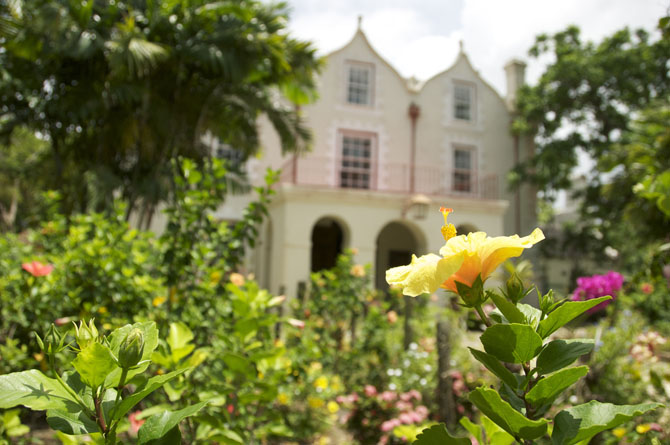 The Gardens of St. Nicholas Abbey