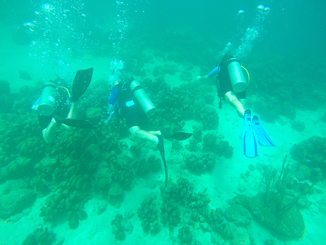 Barbados Underwater