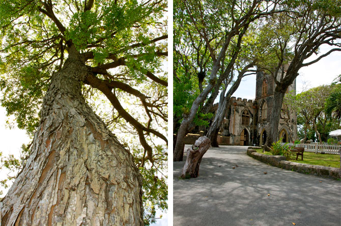 barbados history