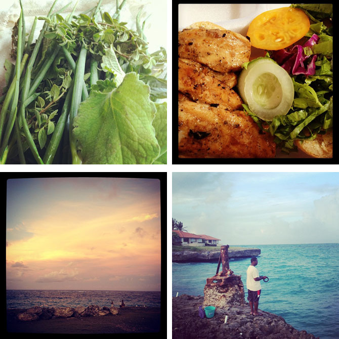 Bajan Fresh fish and herbs 