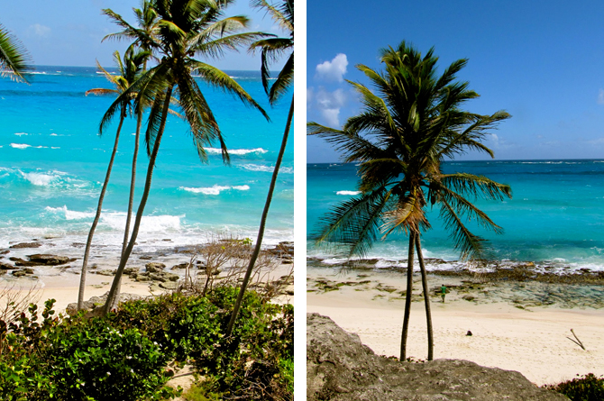 Harry Smith Beach, Barbados