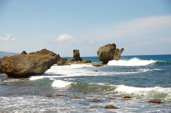 Martin's Bay Barbados