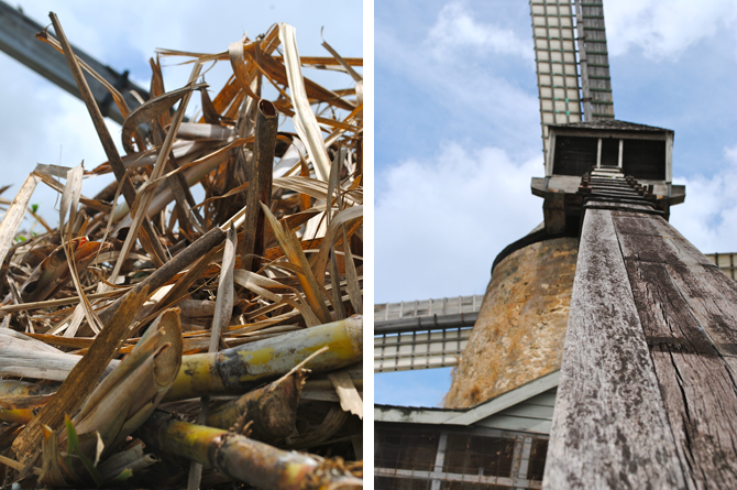 Morgan Lewis Windmill, Barbados