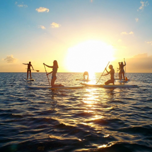 Stand Up Paddle Boarding Barbados 