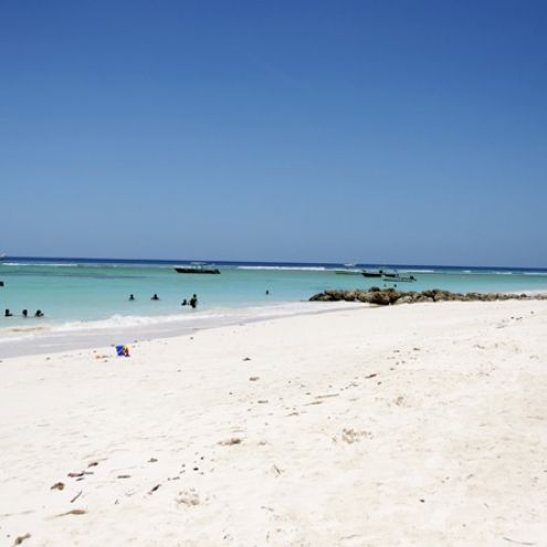Sandy Beach Barbados
