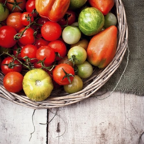 Fresh Organic Tomatoes