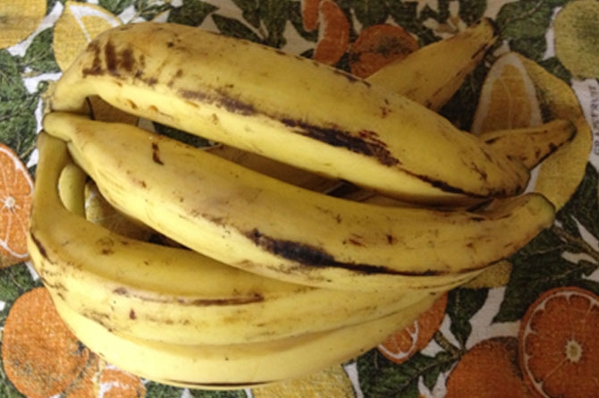 Barbados Plantains