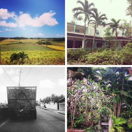 History and Heritage of Barbados 