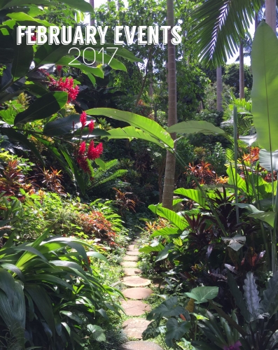 February Events in Barbados