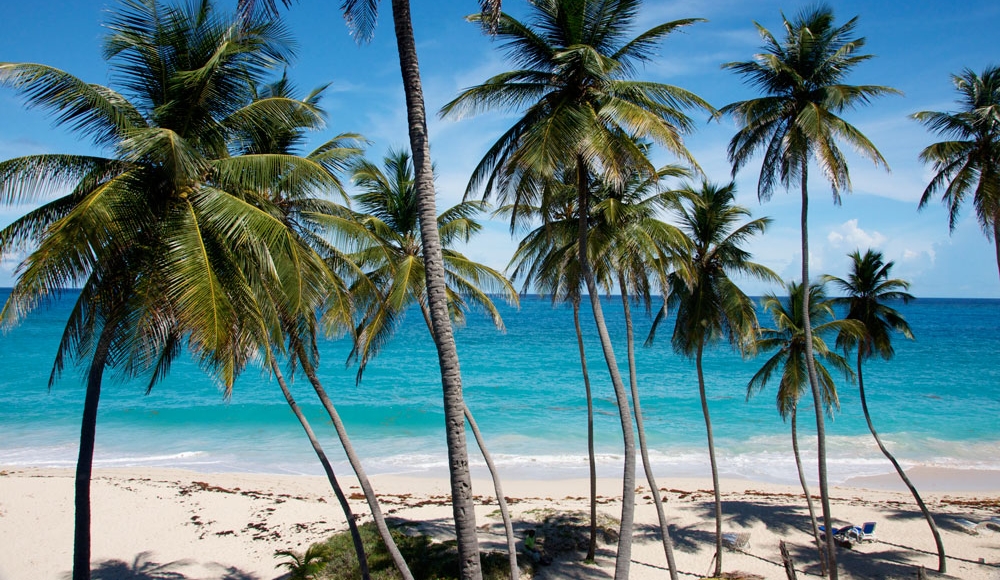 Bottom Bay Barbados
