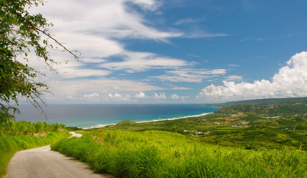 Cherry Tree Hill Barbados