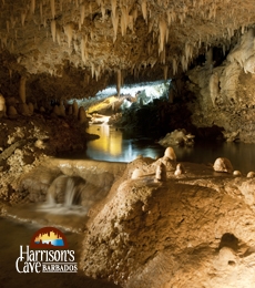 Harrisons Cave Barbados