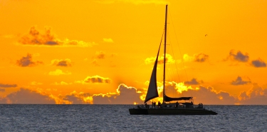 Jammin' Catamaran Cruise 