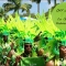 Crop Over Festival- Kadooment Day Barbados