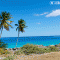 A little Inspiration this Friday from us in Barbados