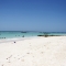 Sandy Beach Barbados
