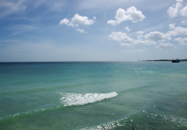 Freights Surf Break Barbados