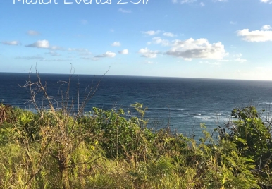 Barbados Events March 2017