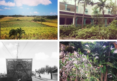 History and Heritage of Barbados 