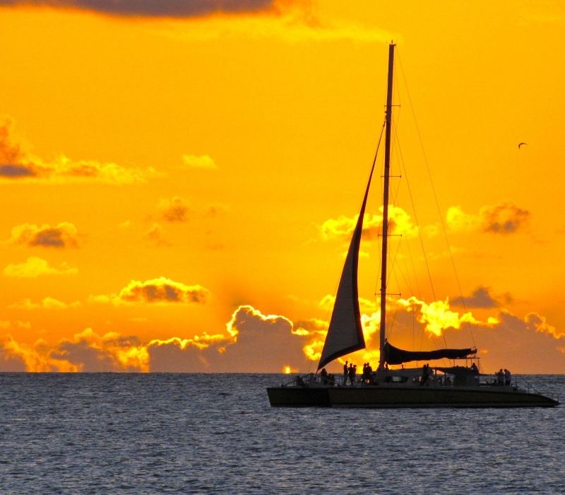 Jammin Catamaran