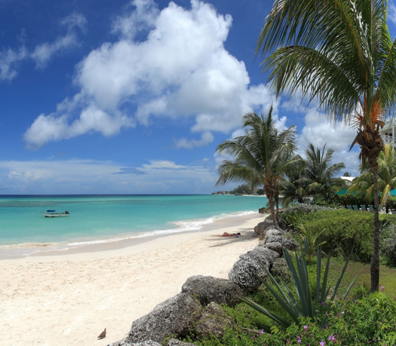 Coral Sands Barbados