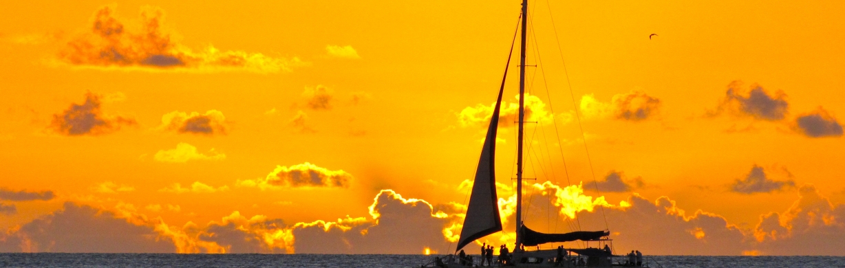 Jammin' Catamaran Cruise 