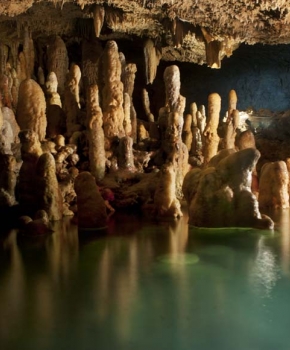 Harrisons Cave Barbados