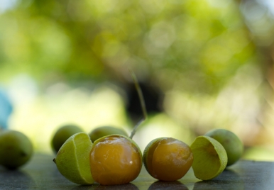 Bajan Ackees or Gineps