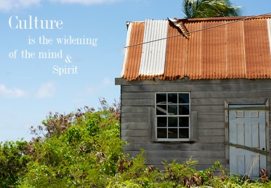 Happy Weekend from Loop Barbados